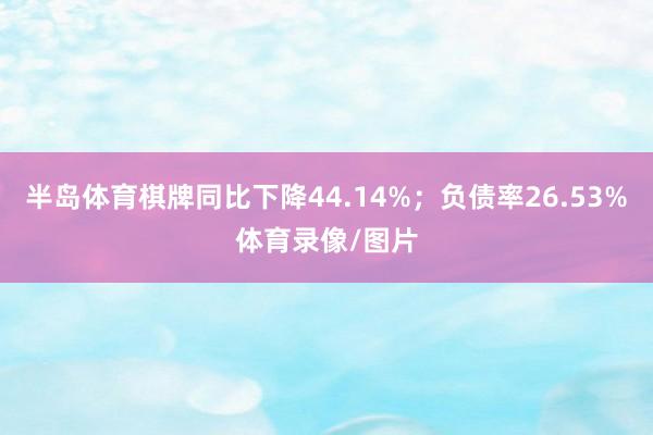 半岛体育棋牌同比下降44.14%；负债率26.53%体育录像/图片