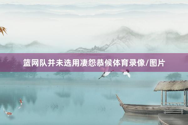 篮网队并未选用凄怨恭候体育录像/图片