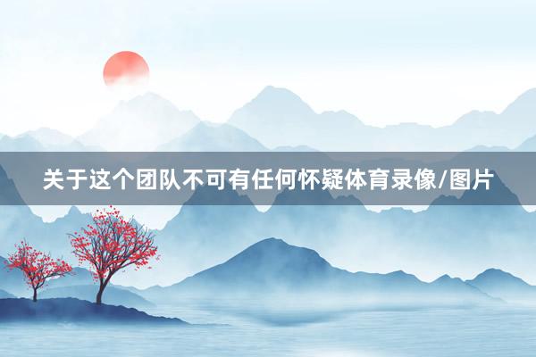 关于这个团队不可有任何怀疑体育录像/图片