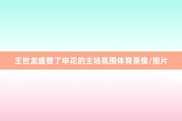 王世龙盛赞了申花的主场氛围体育录像/图片