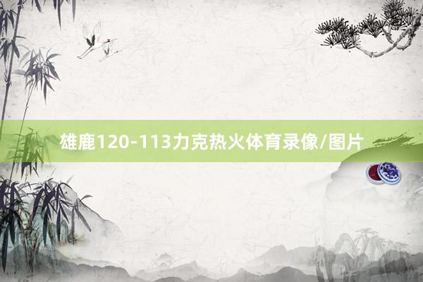 雄鹿120-113力克热火体育录像/图片