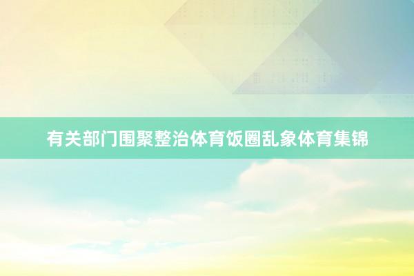 有关部门围聚整治体育饭圈乱象体育集锦