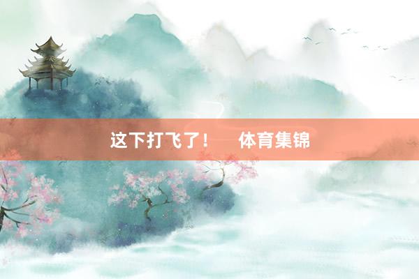 这下打飞了！    体育集锦